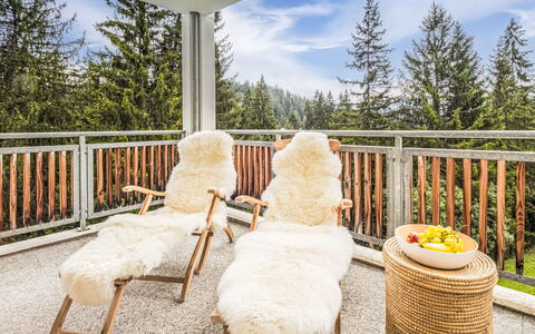 Val Mulin 8.2: Meubles, Bois, Chaise, L'Hiver, Gelé, Neige, Mélèze, Mobilier De Jardin, Porche, Balcon