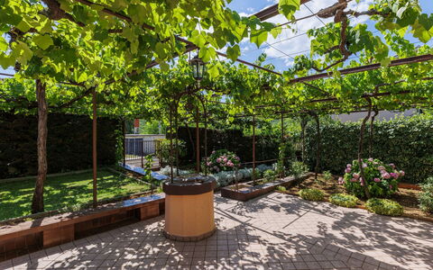 Lado Mediterraneo: Meubles, Mobilier De Jardin, Chaise, Ombre, Tableau De Plein Air, Plante D'Appartement, Patio, Cour, Conception, Balcon
