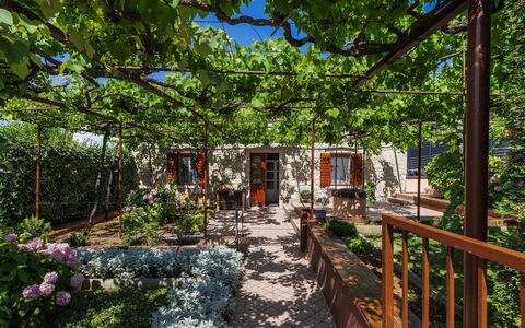 Lado Mediterraneo: Meubles, Mobilier De Jardin, Chaise, Ombre, Tableau De Plein Air, Plante D'Appartement, Patio, Cour, Conception, Balcon