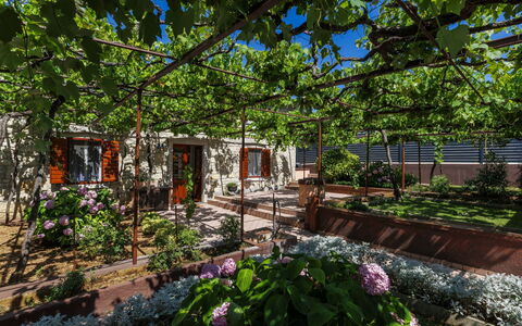 Lado Mediterraneo: Meubles, Mobilier De Jardin, Chaise, Ombre, Tableau De Plein Air, Plante D'Appartement, Patio, Cour, Conception, Balcon