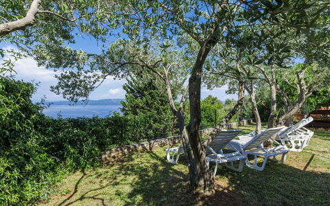 Lado Mediterraneo: Meubles, Mobilier De Jardin, Chaise, Ombre, Tableau De Plein Air, Plante D'Appartement, Patio, Cour, Conception, Balcon
