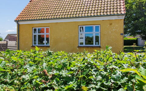 Toivo - 300M from the Sea: Vert, Jaune, Toit, Arbuste, Maison, Chalet, Lot Terre, Zone Rurale, Jardin, Ferme