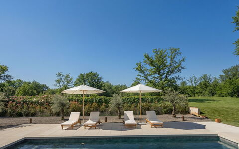 Ruma: Meubles, Mobilier De Jardin, Chaise, Jardin, Tache De Bois, Pelouse, Dur, Ombre, Arrière-Cour