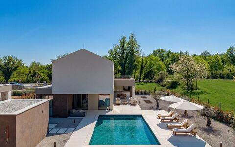 Arda: Meubles, Mobilier De Jardin, Chaise, Jardin, Tache De Bois, Pelouse, Dur, Ombre, Arrière-Cour
