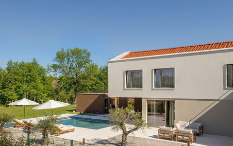 Nara: Meubles, Mobilier De Jardin, Chaise, Jardin, Tache De Bois, Pelouse, Dur, Ombre, Arrière-Cour