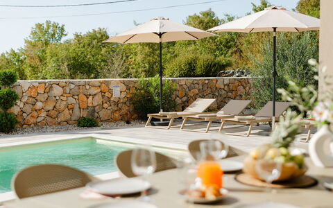 Divine: Meubles, Mobilier De Jardin, Chaise, Jardin, Tache De Bois, Pelouse, Dur, Ombre, Arrière-Cour