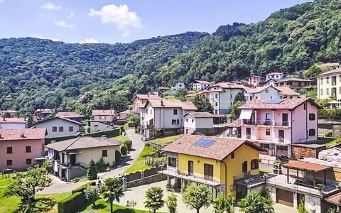 Casa Giamba: Meubles, Mobilier De Jardin, Chaise, Jardin, Tache De Bois, Pelouse, Dur, Ombre, Arrière-Cour
