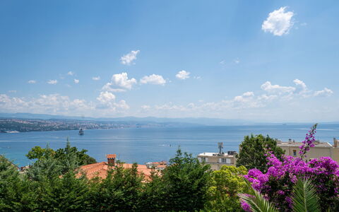 Salvia: Zone Résidentielle, Appartement, Biens, Recours, Manoir, Balcon, Villa, Piscine