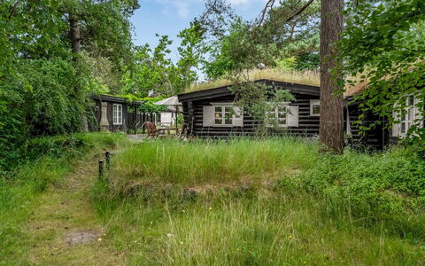 Armund - 50M from the Sea: Arbuste, Zone Rurale, Chalet, Lot Terre, Domicile, Jardin, Batiments Jardin, Biens, Cabane En Rondins