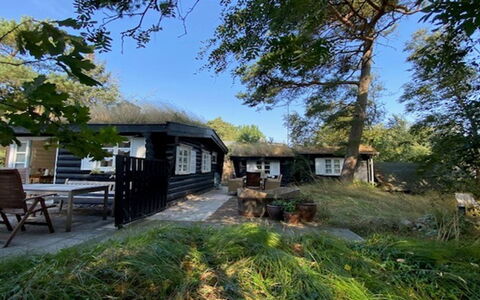 Armund - 50M from the Sea: Chalet, Domicile, Maison, Toit, Zone Rurale, À Déchaumer, Ombre, Batiments Jardin, Cour, Cabane En Rondins