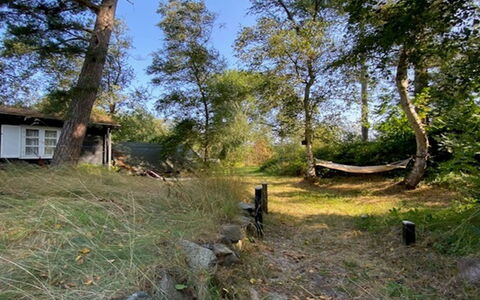 Armund - 50M from the Sea: Arbre, Herbe, Lot Terre, Zone Rurale, Chalet, Tronc, Arrière-Cour, Sol, Jardin