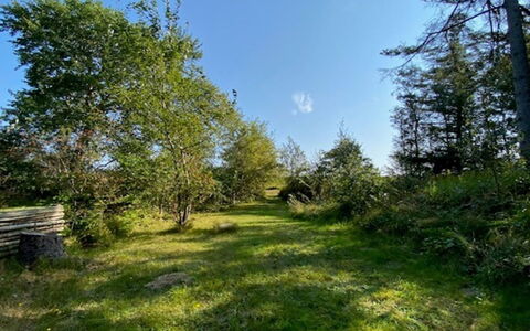 Armund - 50M from the Sea: Ciel, Bleu, Herbe, Feuille, Environnement Naturel, Vert, La Nature, Branche, Végétation, Paysage Naturel