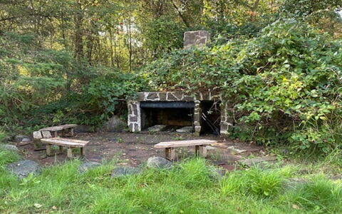 Armund - 50M from the Sea: Herbe, Bois, Arbuste, Communauté Des Plantes, Couverture De Sol, Forêt, Réserve Naturelle, Tronc, Des Bois