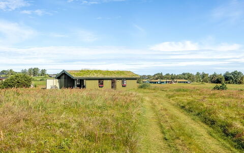 Satu - 1.5Km from the Sea: Herbe, Vert, Prairie, Paysage Naturel, Plaine, Zone Rurale, Écorégion, Lot Terre, Paysage, Prairie