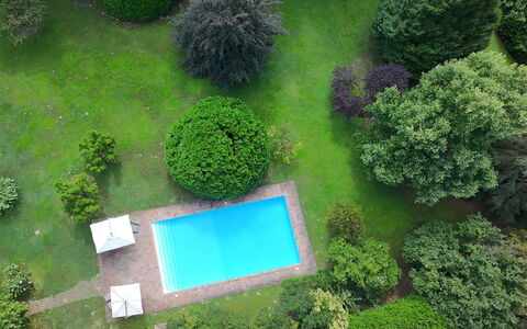 Villa Dorina: Piscine, Arbuste, Jardin, Pelouse, Aménagement Paysager, Arrière-Cour, Cour, Loisir, Recours, Ombre