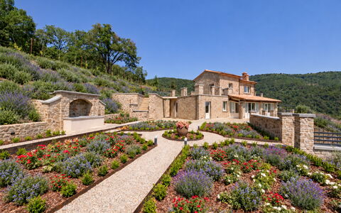 Villa Maddalena alla Guglielmesca: Fleur, Jardin, Arbuste, Communauté Des Plantes, Couverture De Sol, Aménagement Paysager, Jardin Botanique, Plantation, Wildflower