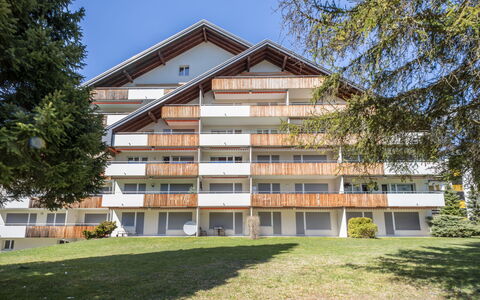 Val Signina 2-9: Siding, Mélèze