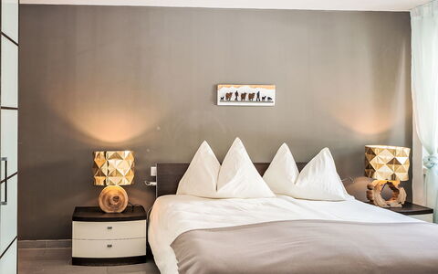 Chesa Enania: Appartement, Architecture, Zone Résidentielle, Condominium, Composite, Design Urbain, Balcon, Usage Mixte, Ombre