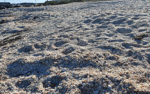 Gundula - 1.3Km from the Sea: Géologie, Sol, Le Sable, L'Hiver