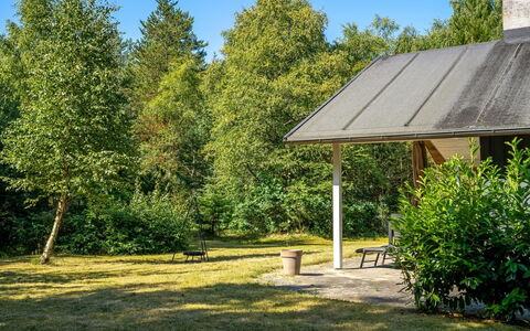 Laris - from the Sea: Arbre, Vert, Feuille, Herbe, Arbuste, Jardin, Lot Terre, Ombre, Chalet