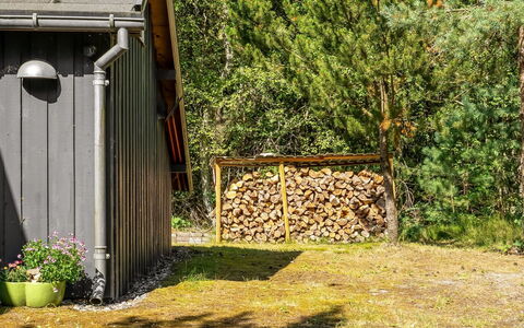 Laris - from the Sea: Bois, Zone Rurale, Jardin, Cabanon, Couverture De Sol, Batiments Jardin, Arrière-Cour, Chalet, Cabane, Cabane En Rondins