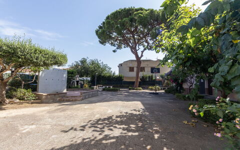 Rosa Dels Vents: Surface De La Route, Arbuste, Espace Public, Zone Résidentielle, Établissements Humains, Ombre, Jardin, Allée, Aménagement Paysager, Cour