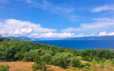 Labin 350