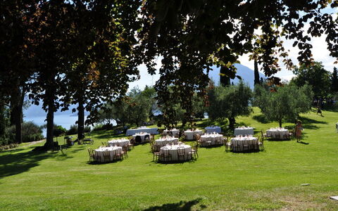 Robilant: Arbre, Prairie, Paysage, Lot Terre, Plaine, Pelouse, Jardin, Printemps, Prairie