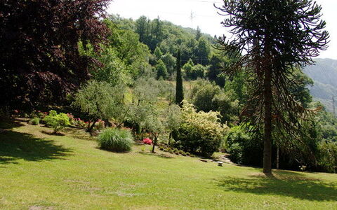 Robilant: Arbuste, Jardin, Jardin Botanique, Parc, Aménagement Paysager, À Feuilles Persistantes, Famille Pine, Extérieur Banc