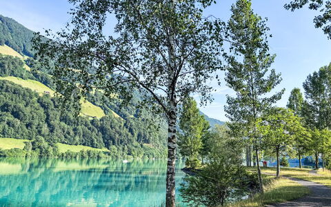 Ferienwohnung Enz: Bleu, L'Eau, Ressources En Eau, Vert, Plan D'Eau, La Nature, Paysage Naturel, Environnement Naturel, Végétation, Été