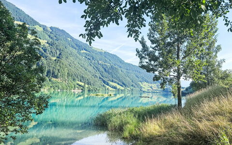 Ferienwohnung Enz: L'Eau, Vert, Plan D'Eau, Ressources En Eau, Paysage Naturel, Été, Colline, Montagnes, Cours D'Eau, Banque