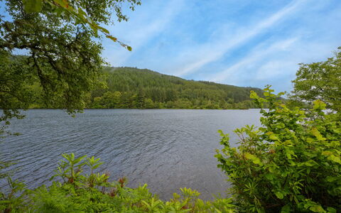 Loch Oich View (Lodge 6): Bleu, L'Eau, Ressources En Eau, Plan D'Eau, Vert, La Nature, Environnement Naturel, Paysage Naturel, Feuille, Végétation