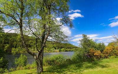 Loch Oich View (Lodge 6)