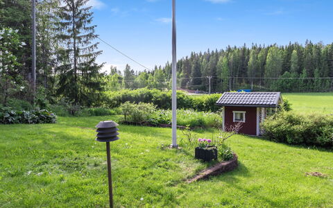 Whispering Woods: Herbe, Vert, Arbuste, Paysage, Lot Terre, Jardin, Pelouse, Couverture De Sol, Pôle