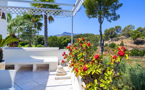 Castillo: Meubles, Pot De Fleur, Jardin, Mobilier De Jardin, Recours, Ombre, Eco Hôtel, Chaise, Aménagement Paysager