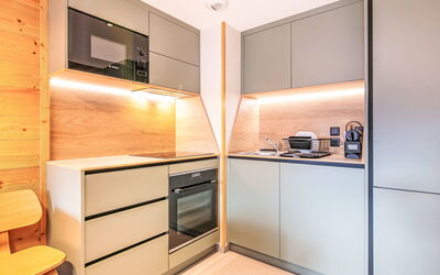 Logement:&nbsp;Les Hauts de Vaujany 125.5