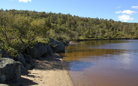 Hellebu: Ressources En Eau, L'Eau, Plan D'Eau, La Nature, Environnement Naturel, Cours D'Eau, Paysage Naturel, Voie Navigable, Végétation, Banque