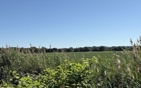 Vilmar - 450M from the Sea: Ciel, Bleu, Vert, Herbe, Environnement Naturel, Végétation, Prairie, Été, Écorégion, Communauté Des Plantes