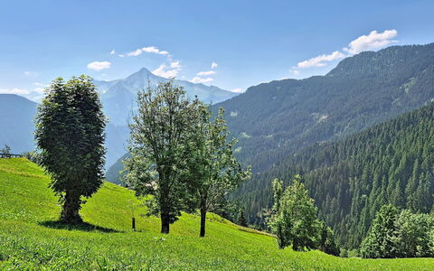 Eben: Montagnes Relief, Montagne, Vert, Arbre, La Nature, Environnement Naturel, Colline, Paysage Naturel, Végétation, Montagnes
