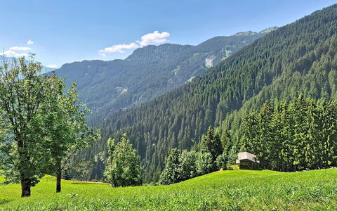 Eben: Montagnes Relief, Vert, Arbre, Montagne, Paysage Naturel, Végétation, Colline, Forêt, Montagnes, Été