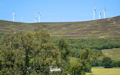 Strathnoon: Environnement Naturel, Prairie, Écorégion, Paysage, Champ, Lot Terre