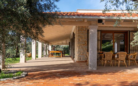 S'Olioni: Appartement, Condominium, Usage Mixte, Hôtel, Balcon