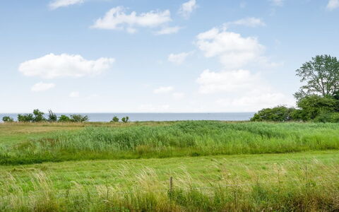 Apsolon - 100M from the Sea: Ciel, Bleu, Vert, Herbe, Environnement Naturel, Prairie, Végétation, Paysage Naturel, Nuage, Écorégion