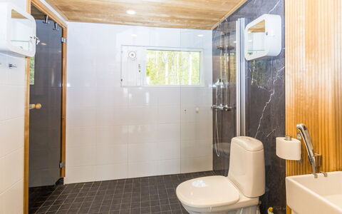 Ii 649: Sol, Luminaire Plomberie, Sol, Bois, Design Intérieur, Plafond, Salle De Bains, Toilette, Lavabo, Siège De Toilette