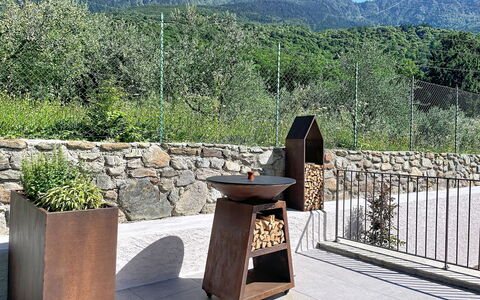 Aura: Roche, Jardin, Béton, Pot De Fleur, Aménagement Paysager, Matériau Naturel, Conception, Tache De Bois, Plante D'Appartement, Dalle