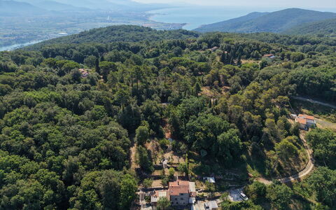 La Rustica: Environnement Naturel, Végétation, Paysage, Communauté Des Plantes, Forêt, Station De Montagne, Vue Du Ciel, Jungle, Photographie Aérienne, Village