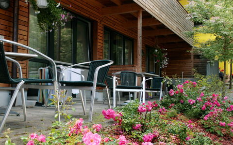 Zell am See 79: Fleur, Jardin, Cour, Ombre, Aménagement Paysager, Tache De Bois, Plante D'Appartement, Arrière-Cour, Pot De Fleur, Floristique