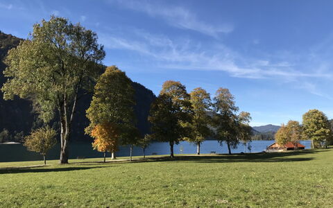 Achenkirch 622: Herbe, Feuille, Arbre, Vert, La Nature, Environnement Naturel, Paysage Naturel, Prairie, Paysage, Colline