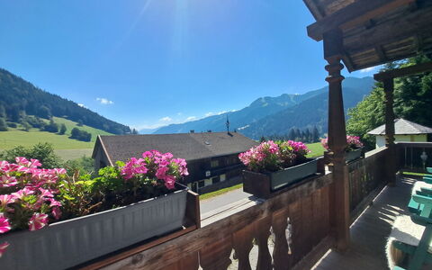 Grub: Chaîne De Montagnes, Balcon, Pot De Fleur, Plante D'Appartement, Floristique, Eco Hôtel, Alpes, Village De Montagne