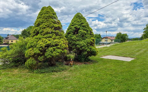 Haus Valentin: Feuille, Arbuste, Jardin, Couverture De Sol, Suppression Des Plantes Ligneuses, Aménagement Paysager, Pelouse, Jardin Botanique, À Feuilles Persistantes